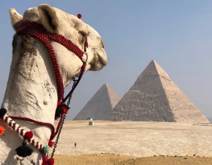 Full Day Tour : Giza Pyramids & Egyptian Museum in Cairo